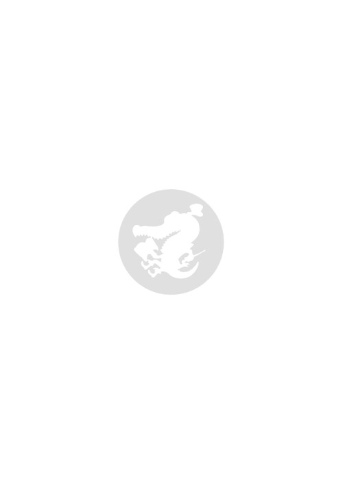 187f809ba2299fe7503.jpg