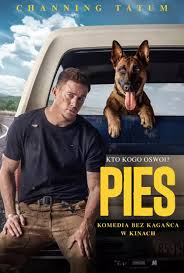 pies.jpg