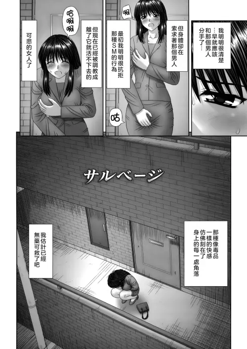 120.webp