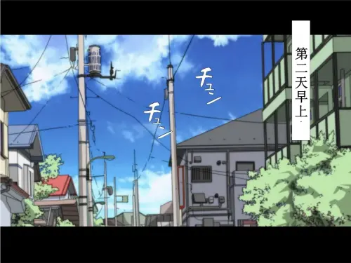 097.webp
