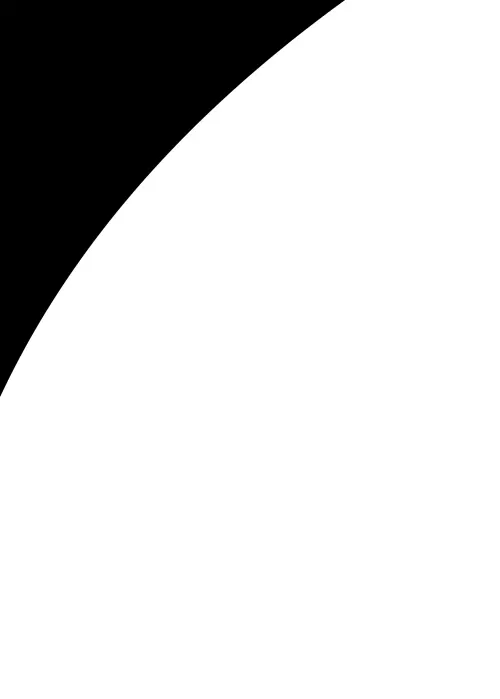 31.webp