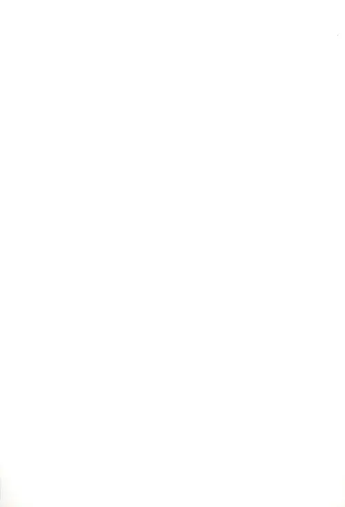 39.webp