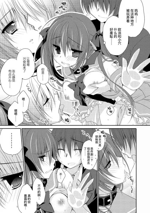 017.webp