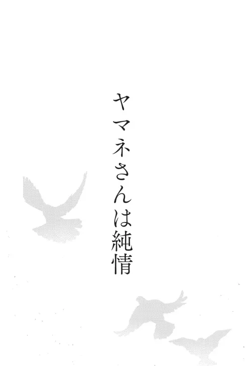04.webp