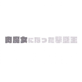 03_piub